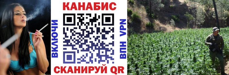 Меф Бердск