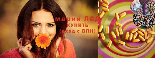 индика Ельня