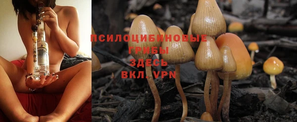спайс Дмитриев