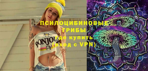 тгк Дмитров