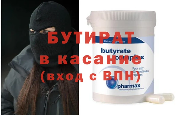 индика Ельня