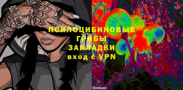 индика Ельня