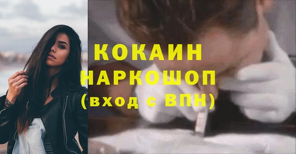 спайс Дмитриев