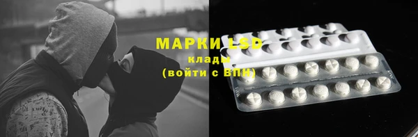 тгк Дмитров