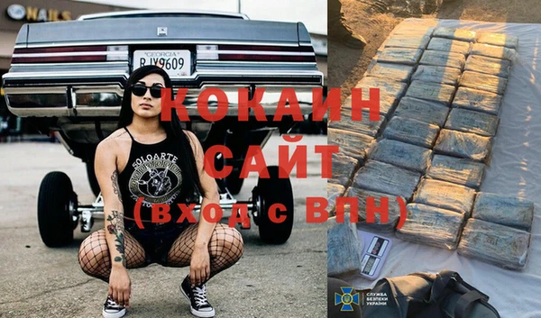 спайс Дмитриев
