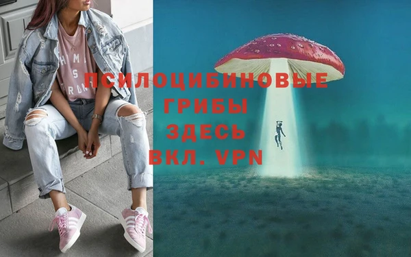 тгк Дмитров